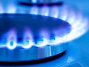 Фото из сети интернет