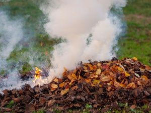 фото пресслужби Дніпропетровської ОВА