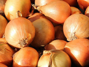 В Україні рекордно подешевшала цибуля: що з цінами