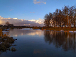 Фото ілюстративне з відкритих джерел