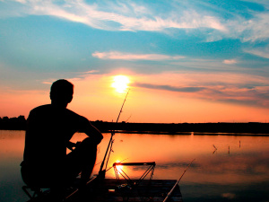 Коли клює найкраще - фото з відкритих джерел