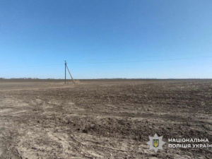 Сотні гектарів «зникли» з декларації: на Криворіжжі судитимуть депутата за недостовірну інформацію
