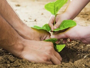 Фото із мережі Інтернет