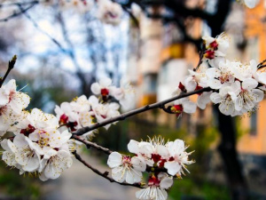 Дайджест головних новин тижня, що минає