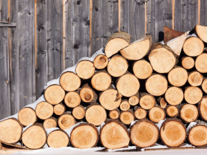 Фото редакції krivbass.city