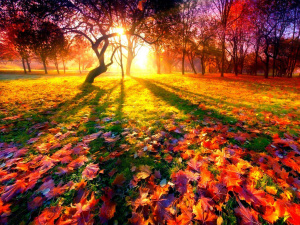 Погода на вікенд - фото ілюстративне з відкритих джерел  