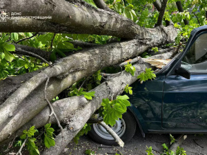 Розчищали автошляхи та прибирали дерева: на Дніпропетровщині ліквідовували наслідки негоди