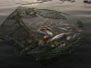 Фото із мережі Інтернет