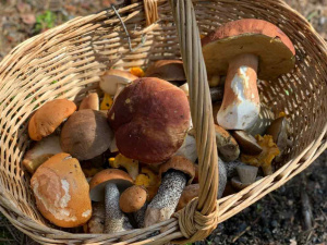 Фото із мережі Інтернет