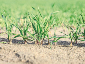 Фото пресс-службы компании Метинвест