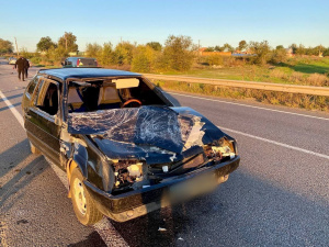 У Криворізькому районі внаслідок ДТП загинула жінка та вагітна тварина