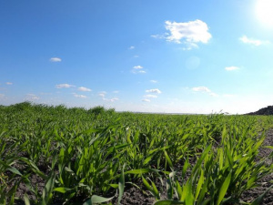 Фото пресслужби компанії Метінвест 