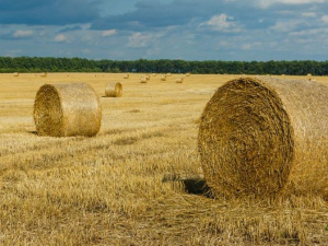 Фото: Depositphotos