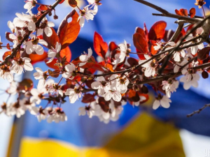 Фото з відкритих джерел