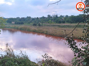 Фото: ГО "Досить труїти Кривий Ріг"