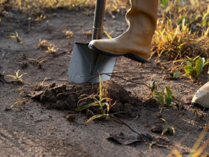 Фото з відкритих джерел