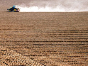 Фото із мережі Інтернет