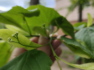 Фото редакції krivbass.city