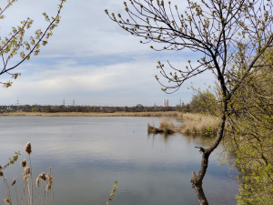Фото редакції krivbass.city 
