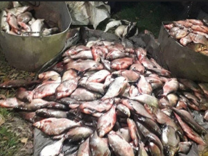 Фото із мережі Інтернет