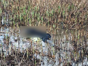 Фото ДСНС Дніпропетровської області