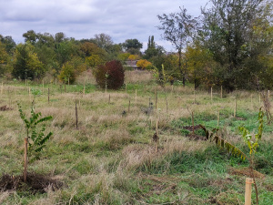 Фото пресслужби Групи Метінвест