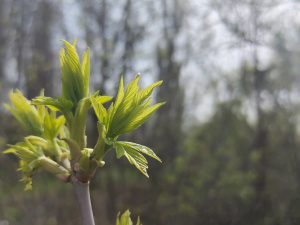 Фото редакції krivbass.city