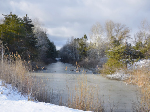 Фото ілюстративне з відкритих джерел 