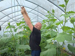 Фото Дніпропетровська обласна служба зайнятості
