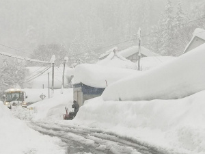Фото ілюстративне з відкритих джерел     