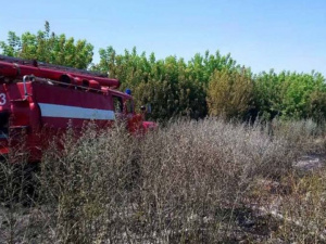 Фото пресс-службы ГСЧС Днепропетровской области