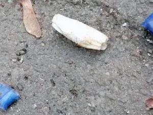 Фото пресслужби Полку патрульної поліції Кривого Рогу