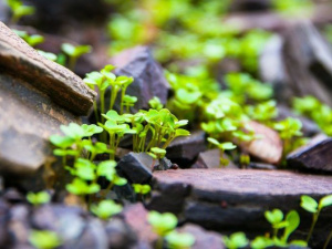 Фото пресс-службы компании Метинвест