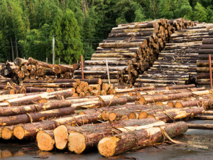 Фото з відкритих джерел