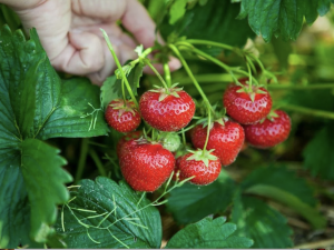 Фото з відкритих джерел