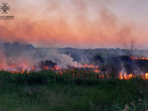 Близько 20 пожеж в екосистемах за добу на Дніпропетровщині: рятувальники попереджають