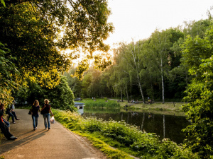 Чому варто виходити на прогулянку після трапези - фото з відкритих джерел