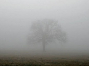 Фото из сети Интернет