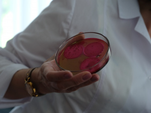 Фото редакції krivbass.city 