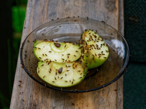 Фото з відкритих джерел