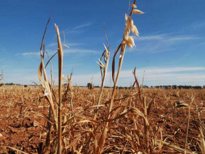 фото з відкритих джерел 