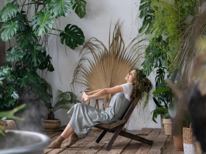 Кімнатні квіти, які змінюють атмосферу вдома - фото з відкритих джерел