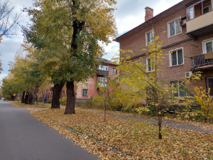 Вихідні у Кривому Розі: де провести 2-3 листопада  цікаво та з користю