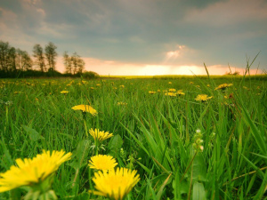 Погода в уїк-енд - фото ілюстративне з відкритих 