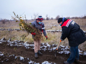 Фото пресс-службы компании Метинвест