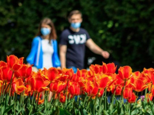 Фото із мережі Інтернет