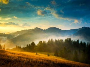 Фото з відкритих джерел    