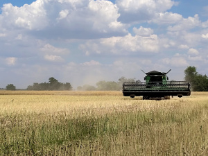 Фото редакції krivbass.city