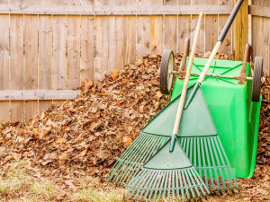 Фото з відкритих джерел
