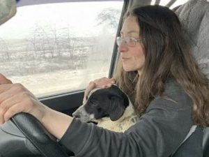 Криворізька волонтерка врятувала 500 тварин із прифронтових територій: як допомогти притулку